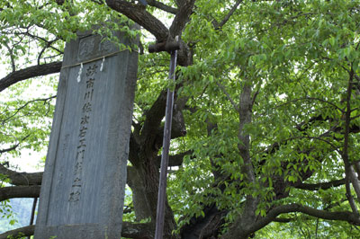 市川佐次右エ門碑