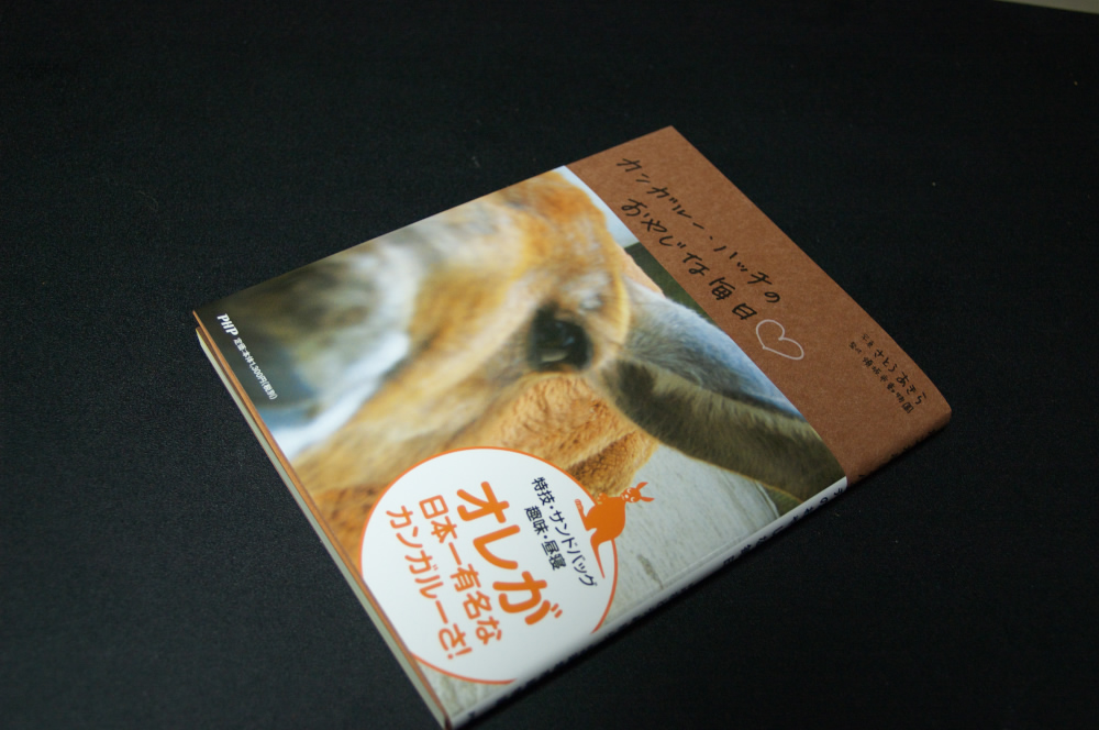 ハッチの写真集