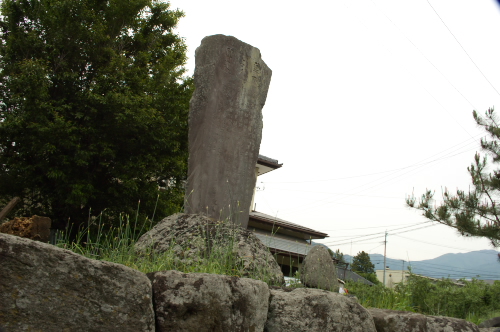 蓮如松と蓮如上人碑